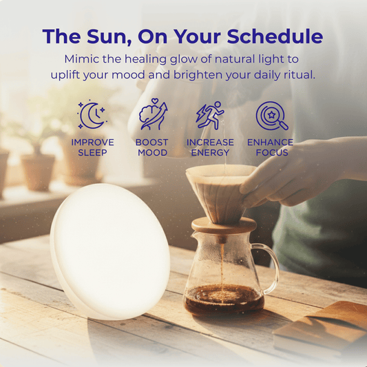 Light dance essential light use case in the morning  